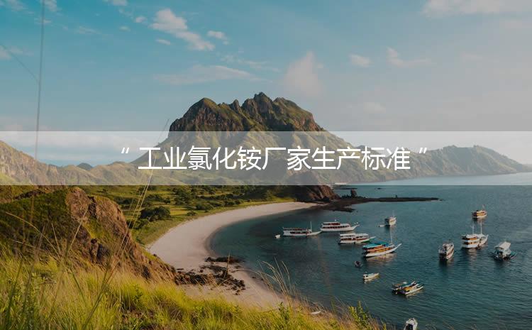 工業(yè)氯化銨廠家生產(chǎn)標(biāo)準(zhǔn)，生產(chǎn)過程進(jìn)行嚴(yán)密的監(jiān)控！